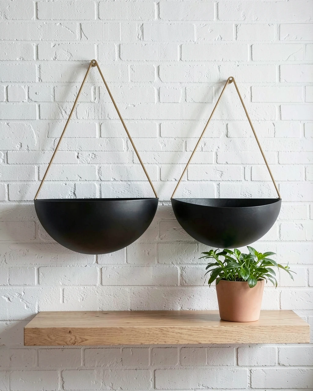 Terena Duvar Saksılığı